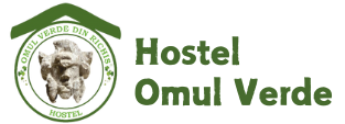 Hostel Omul Verde din Richiș